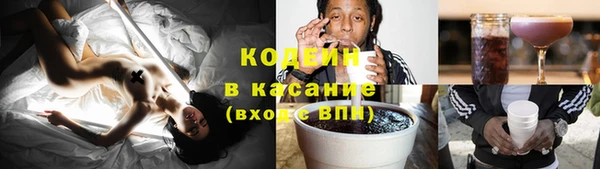 гидра Верхний Тагил
