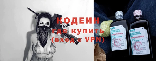 гидра Верхний Тагил