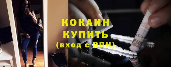 гидра Верхний Тагил