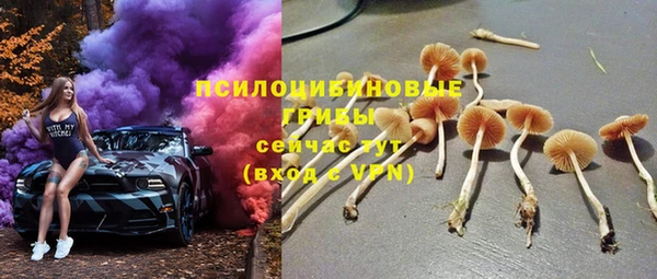 тгк Верея