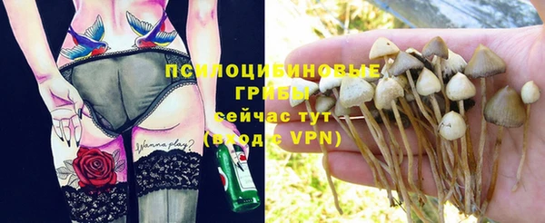 гидра Верхний Тагил