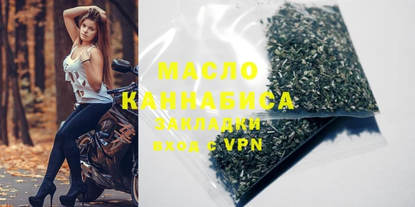 гидра Верхний Тагил