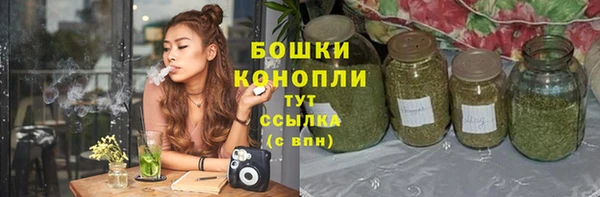 тгк Верея
